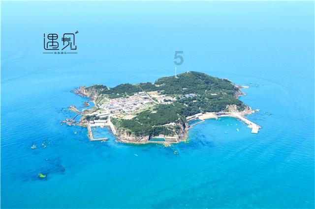 逃离天鹅森林
