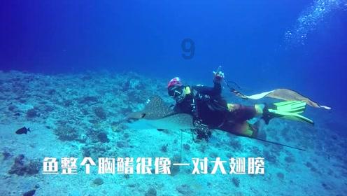 逃出气球屋