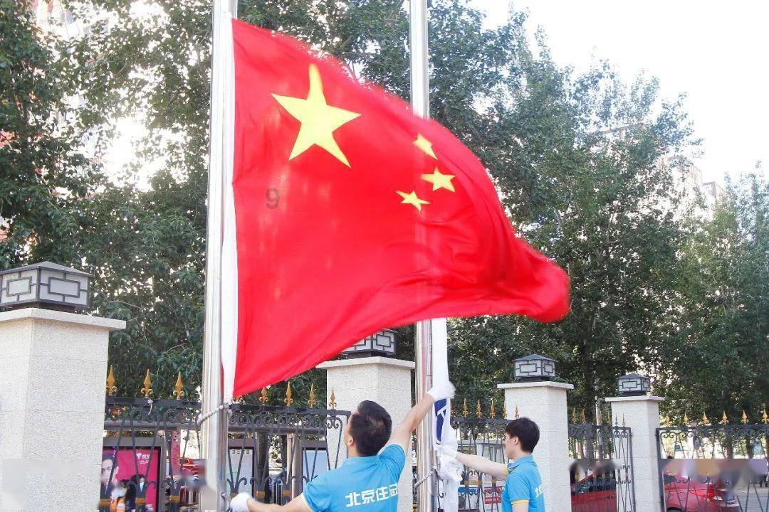 救援小棕兔
