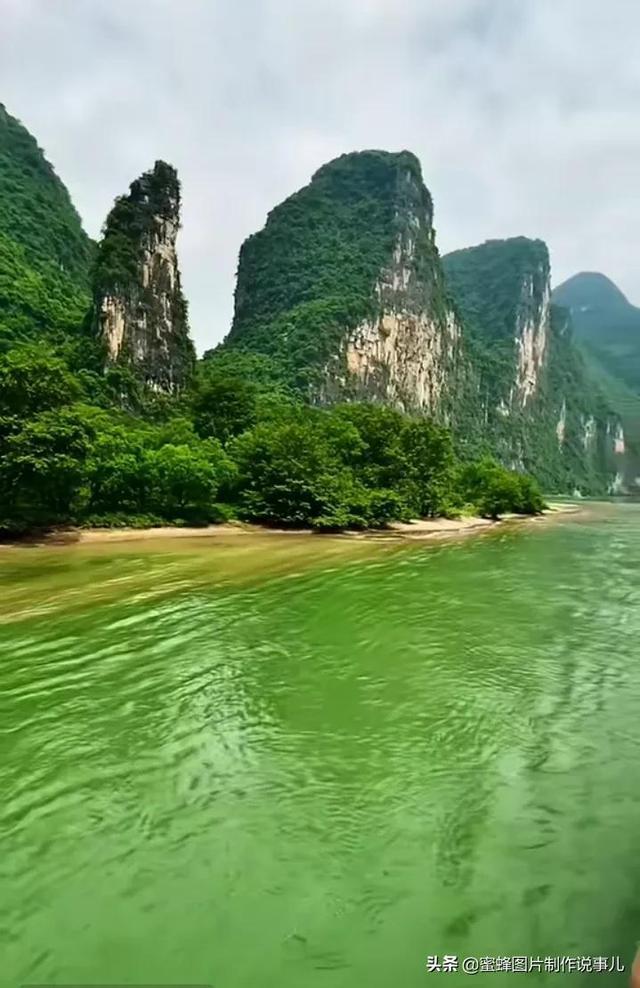 逃离橡子树种植地